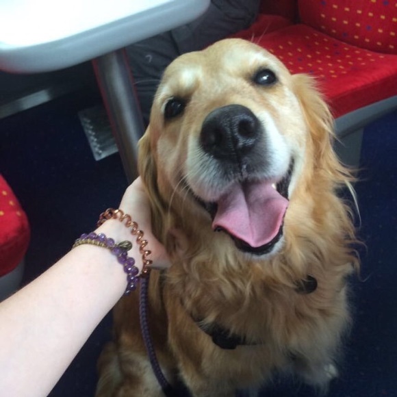 Meet your Posher, Anna - Picture 1 of 1